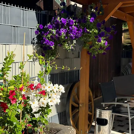 Abendsonne Nr 6 Apartment *